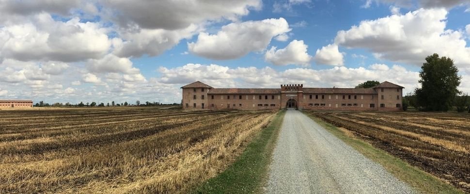 Acquerello riso: scopri i prodotti
